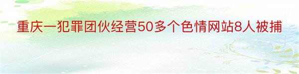 重庆一犯罪团伙经营50多个色情网站8人被捕
