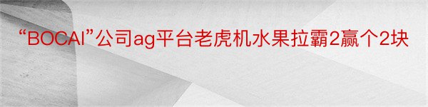 “BOCAI”公司ag平台老虎机水果拉霸2赢个2块