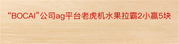 “BOCAI”公司ag平台老虎机水果拉霸2小赢5块