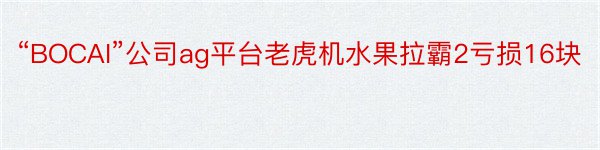 “BOCAI”公司ag平台老虎机水果拉霸2亏损16块